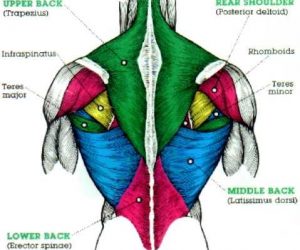 Bench Volume and Avoiding Pain (430x5)