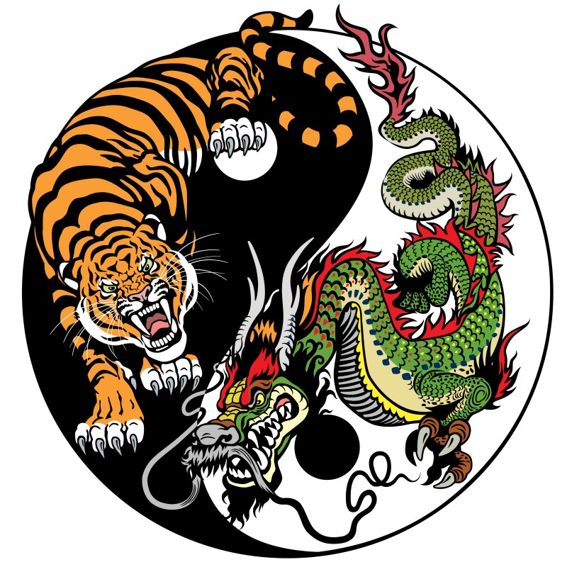 Becoming Elite and Beyond: A Journey from the Tiger to the Dragon ...