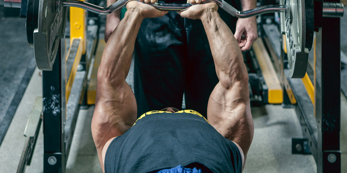 Bench Dips - Triceps Exercise Guide with Photos