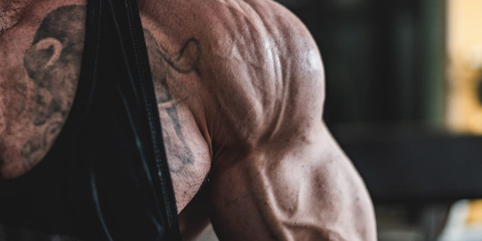 The Best Arm Workout for Splitting Your Sleeves