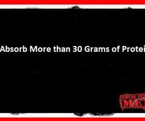 You Can’t Absorb More than 30 Grams of Protein at Once