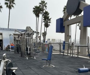 How My Wife Ruined Muscle Beach